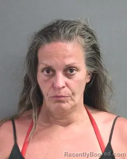 Mugshot of MELISSA MARIE LEE booked in Volusia County, Florida on July 5, 2026