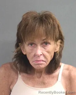 Mugshot of LISBETH A WELDON booked in Volusia County, Florida on July 5, 2026