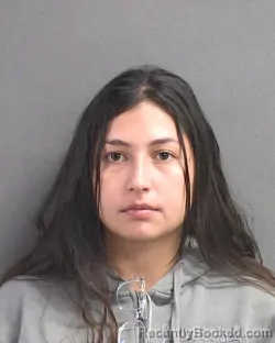 Mugshot of TATIANA E SABOGAL RODRIGUEZ booked in Volusia County, Florida on July 6, 2026
