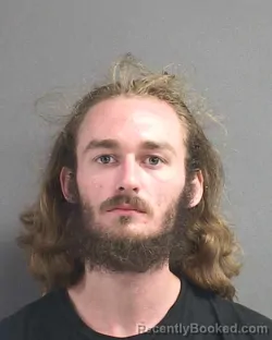 Mugshot of CASEY ADISON WIEGMAN booked in Volusia County, Florida on July 6, 2026