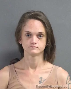 Mugshot of ARIEL LEE STANLEY booked in Volusia County, Florida on July 6, 2026