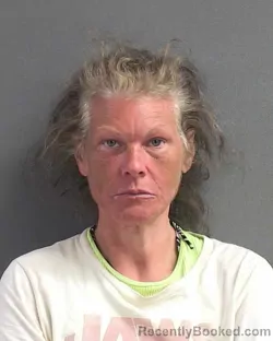 Mugshot of BARBARA A CIRILLO booked in Volusia County, Florida on July 6, 2026