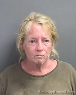 Mugshot of CARRIE LOUISE BLACKBURN booked in Volusia County, Florida on July 6, 2026