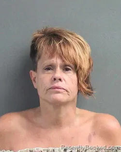 Mugshot of STACY LYNN RYAN booked in Volusia County, Florida on July 7, 2026