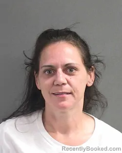 Mugshot of LORI A BRIDGETT booked in Volusia County, Florida on July 8, 2026