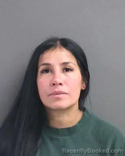 Mugshot of JACKELINE PETROVICH SANTA MARI booked in Volusia County, Florida on July 9, 2026
