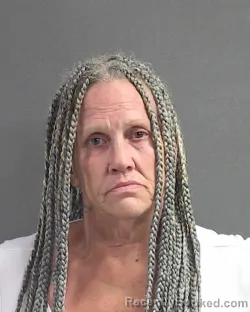 Mugshot of DEBORAH ANDERSON booked in Volusia County, Florida on July 9, 2026