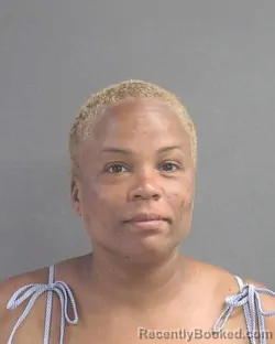 Mugshot of PATRICIA B BALMER booked in Volusia County, Florida on July 11, 2026