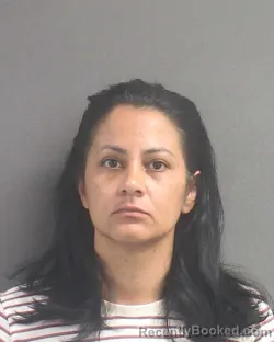Mugshot of ENID MARIE PENA SANTA booked in Volusia County, Florida on July 11, 2026
