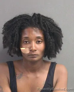 Mugshot of ASHLEY TIESHA JELKS booked in Volusia County, Florida on July 13, 2026