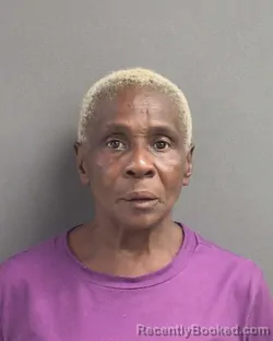 Mugshot of ROSETTA BIRCH booked in Volusia County, Florida on July 14, 2026