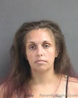 Mugshot of HEATHER LEA BOWSER booked in Volusia County, Florida on July 14, 2026