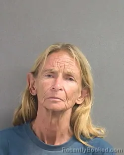 Mugshot of CATHY ANN GALLUP booked in Volusia County, Florida on July 14, 2026