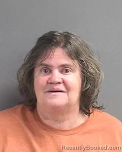 Mugshot of MARY ANN LUCE MALONEY booked in Volusia County, Florida on July 15, 2026