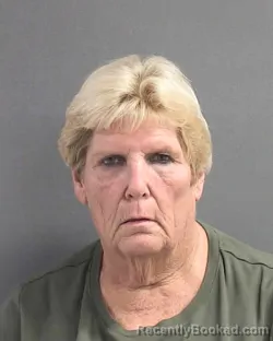 Mugshot of TONI DENISE DOBBINS booked in Volusia County, Florida on July 15, 2026