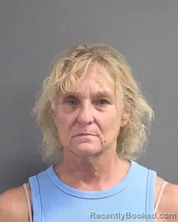 Mugshot of TRACEY HARRIETT APANEL booked in Volusia County, Florida on July 15, 2026