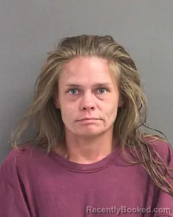 Mugshot of BRITTANY NICOLE SORRELLS booked in Volusia County, Florida on July 15, 2026