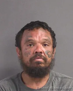 Mugshot of CHRISTIAN ADAM NIEVES booked in Volusia County, Florida on July 16, 2026
