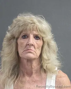 Mugshot of KRISTINE MARIE SMITH booked in Volusia County, Florida on July 16, 2026