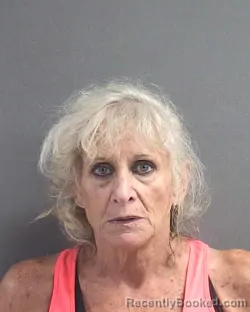 Mugshot of SUSAN MARIE KRYZAK booked in Volusia County, Florida on July 17, 2026