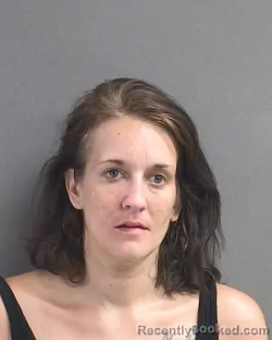 Mugshot of STEPHANIE CAROL ELKINS booked in Volusia County, Florida on July 17, 2026