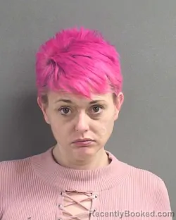 Mugshot of KIMBERLY ANN SLEZAK booked in Volusia County, Florida on July 17, 2026