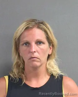 Mugshot of CYNTHIA D MCHALE booked in Volusia County, Florida on July 17, 2026