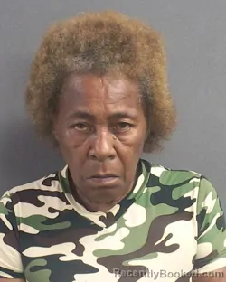Mugshot of THEORDOSHIA JOHNSON WALKER booked in Volusia County, Florida on August 4, 2026