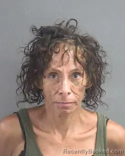Mugshot of Vanessa L Hildenbrand booked in Volusia County, Florida on August 5, 2026