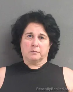Mugshot of Sonia Sinibaldi booked in Volusia County, Florida on August 5, 2026