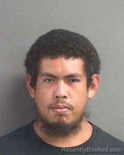 Mugshot of Brandon Diaz booked in Volusia County, Florida on August 5, 2026