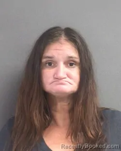 Mugshot of Heather Volinsky booked in Volusia County, Florida on August 6, 2026