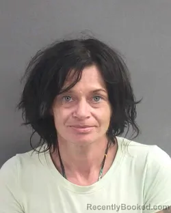 Mugshot of Erin Fink booked in Volusia County, Florida on August 6, 2026