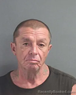 Mugshot of Terry D Stults booked in Volusia County, Florida on August 7, 2026