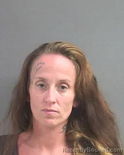 Mugshot of Stephanie Louise Sullivan booked in Volusia County, Florida on August 7, 2026