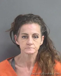 Mugshot of Bridgette J Stark booked in Volusia County, Florida on August 10, 2026