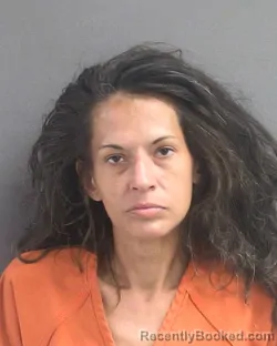Mugshot of Heather Mickensie Bird booked in Volusia County, Florida on August 11, 2026