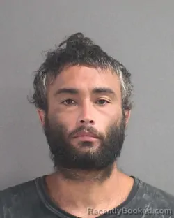 Mugshot of Ismael Fernandez booked in Volusia County, Florida on August 11, 2026