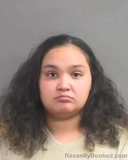 Mugshot of Rosemary Gabriela Torres Mercado booked in Volusia County, Florida on August 12, 2026