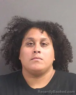 Mugshot of Franchesca Yanira Diaz booked in Volusia County, Florida on August 12, 2026
