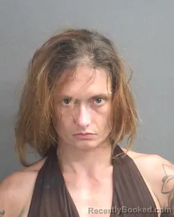 Mugshot of Tiana Marie Canale-Geno booked in Volusia County, Florida on August 12, 2026