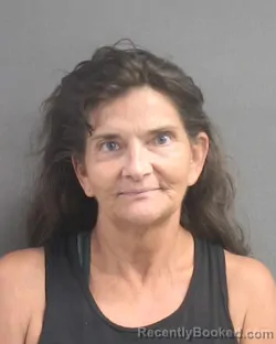 Mugshot of Michelle Yvonne Pursley booked in Volusia County, Florida on August 12, 2026