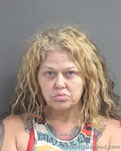 Mugshot of Kristi Ashley Wilson booked in Volusia County, Florida on August 14, 2026
