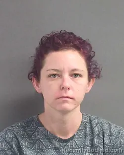 Mugshot of Destiney Annjo Phelps booked in Volusia County, Florida on August 14, 2026
