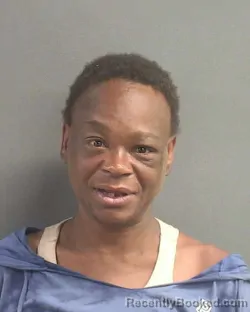 Mugshot of Chequila George booked in Volusia County, Florida on August 14, 2026