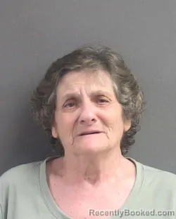Mugshot of Rosemary Mcgivern booked in Volusia County, Florida on August 15, 2026