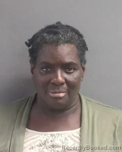 Mugshot of Carolyn Annette Hobbs booked in Volusia County, Florida on August 17, 2026