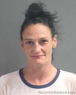 Mugshot of Jessica Nicole Tibbetts booked in Volusia County, Florida on August 17, 2026