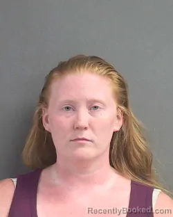 Mugshot of Nicolette Heather Vorisek Heslin booked in Volusia County, Florida on August 18, 2026