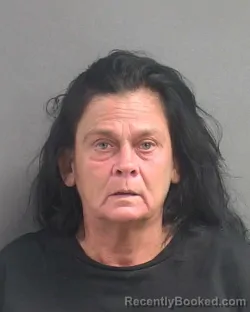 Mugshot of Lisa Michelle Tauber booked in Volusia County, Florida on August 19, 2026